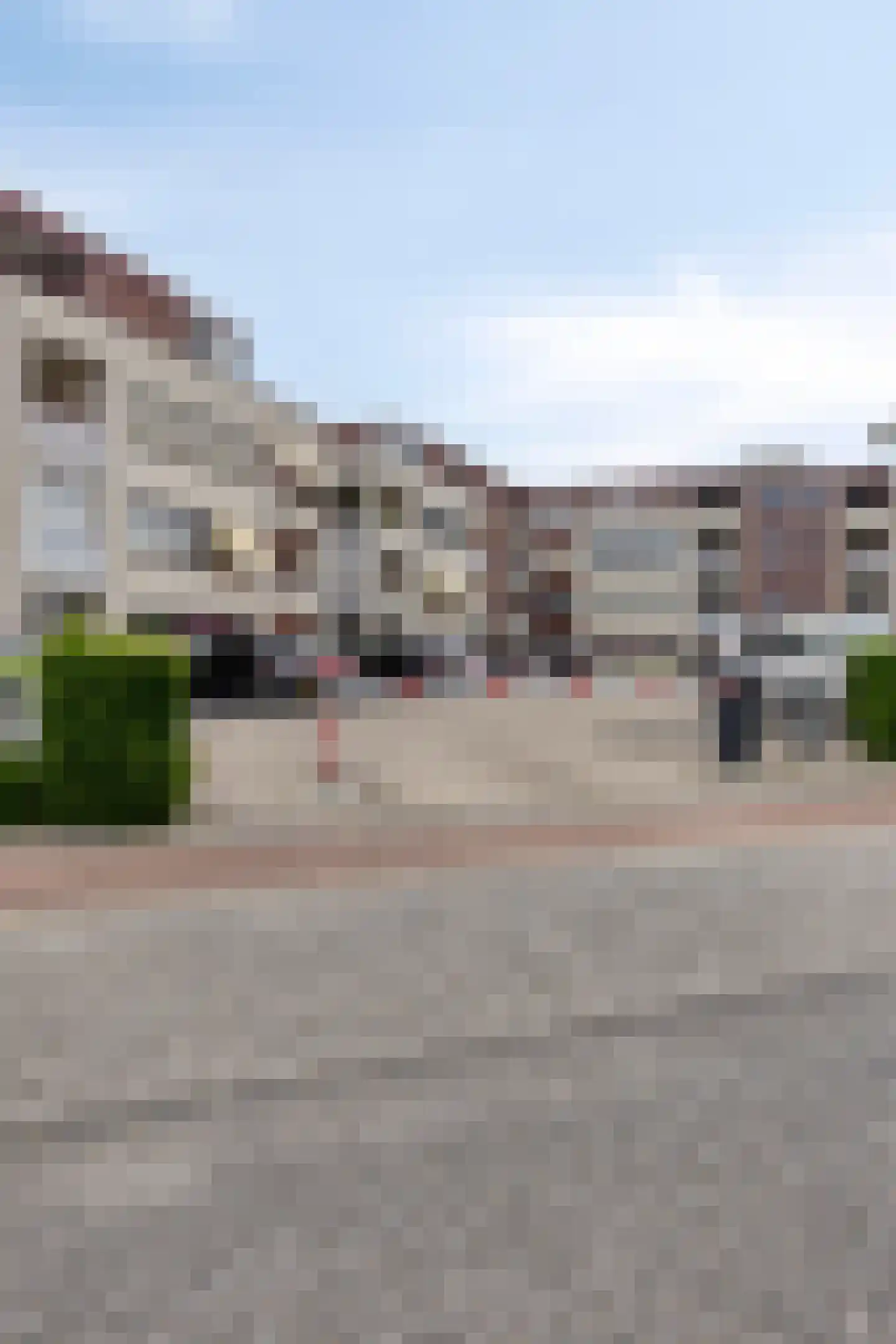 Vogelhei 43 Best thumbnail 44