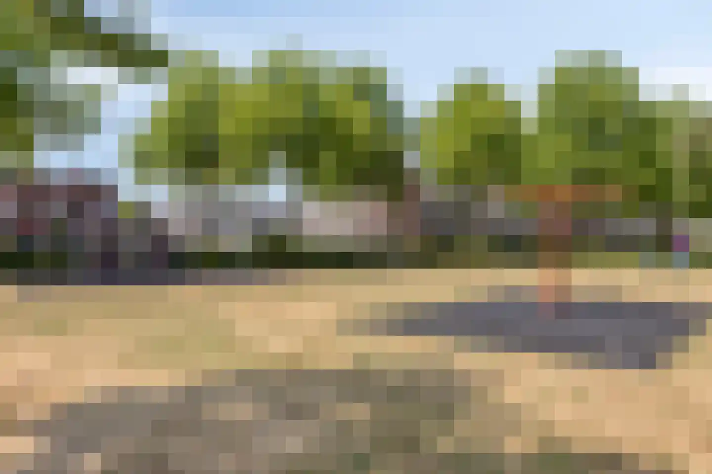 Vogelhei 43 Best thumbnail 48