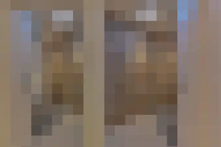 Vogelhof 10 b Ter Apel thumbnail 14