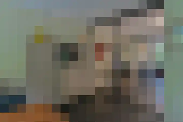 Vogelhof 10 b Ter Apel thumbnail 16