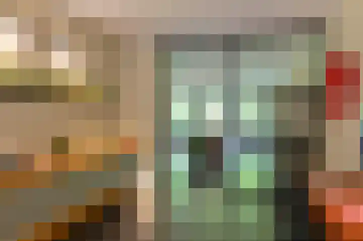 Vogelhof 10 b Ter Apel thumbnail 20