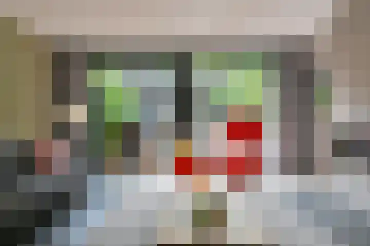 Vogelhof 10 b Ter Apel thumbnail 22
