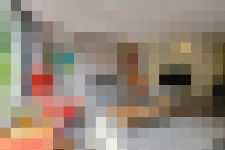 Vogelhof 10 b Ter Apel thumbnail 28