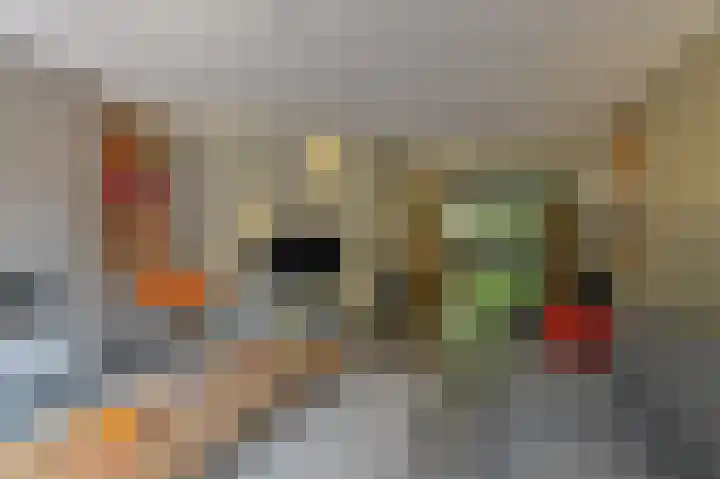 Vogelhof 10 b Ter Apel thumbnail 29