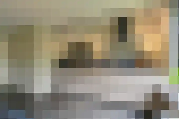 Vogelhof 10 b Ter Apel thumbnail 31