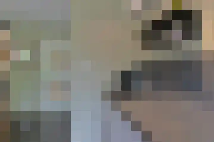 Vogelhof 10 b Ter Apel thumbnail 32