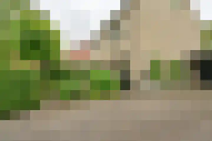 Vogelhof 10 b Ter Apel thumbnail 5