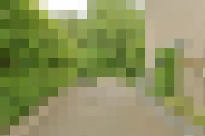 Vogelhof 10 b Ter Apel thumbnail 6