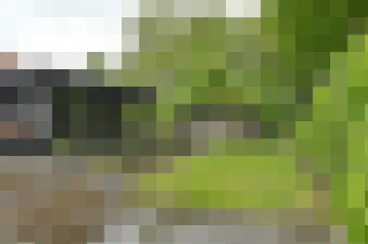 Vogelhof 10 b Ter Apel thumbnail 67