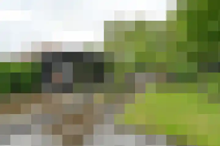 Vogelhof 10 b Ter Apel thumbnail 68