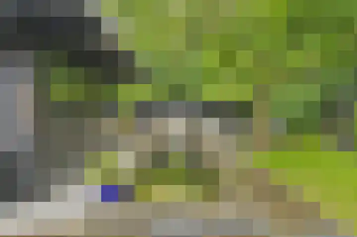 Vogelhof 10 b Ter Apel thumbnail 69
