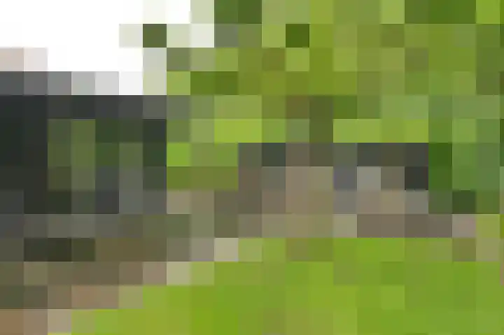 Vogelhof 10 b Ter Apel thumbnail 70