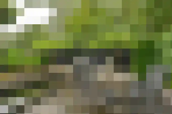 Vogelhof 10 b Ter Apel thumbnail 71