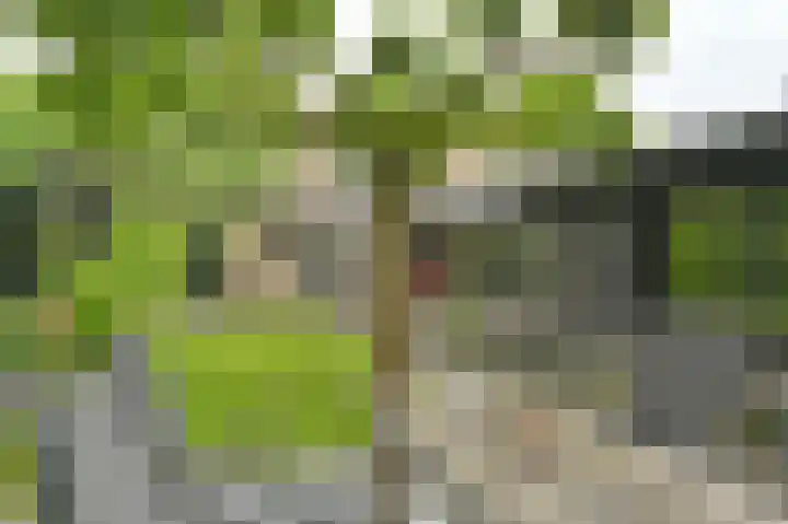 Vogelhof 10 b Ter Apel thumbnail 72