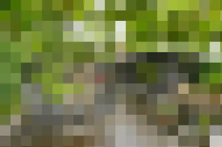 Vogelhof 10 b Ter Apel thumbnail 73