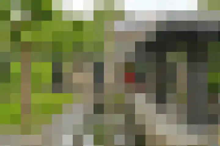 Vogelhof 10 b Ter Apel thumbnail 74