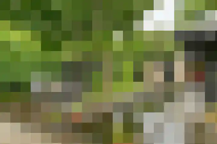 Vogelhof 10 b Ter Apel thumbnail 75