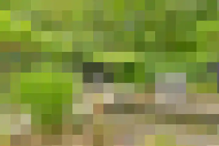 Vogelhof 10 b Ter Apel thumbnail 76