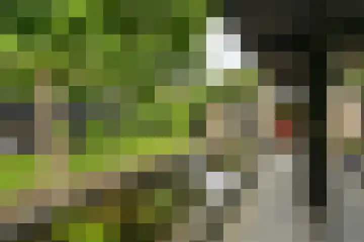 Vogelhof 10 b Ter Apel thumbnail 77