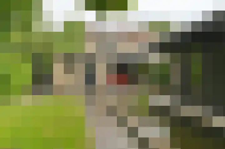 Vogelhof 10 b Ter Apel thumbnail 78