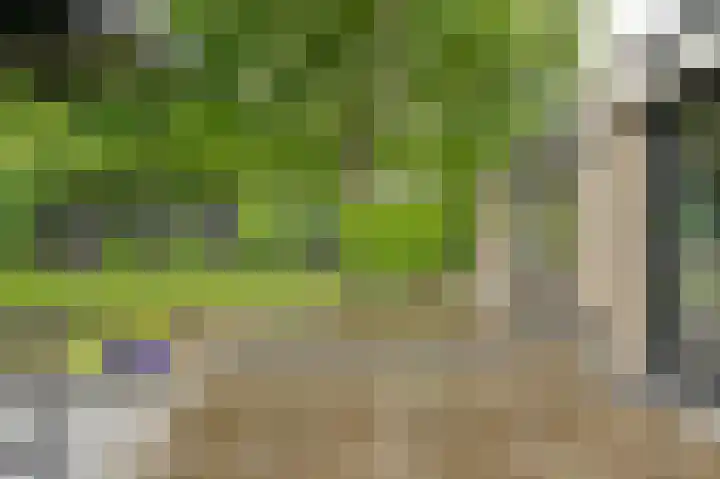Vogelhof 10 b Ter Apel thumbnail 80