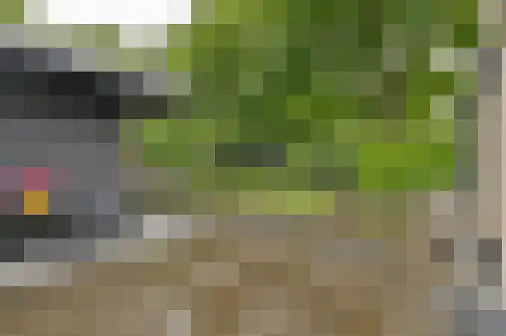 Vogelhof 10 b Ter Apel thumbnail 81