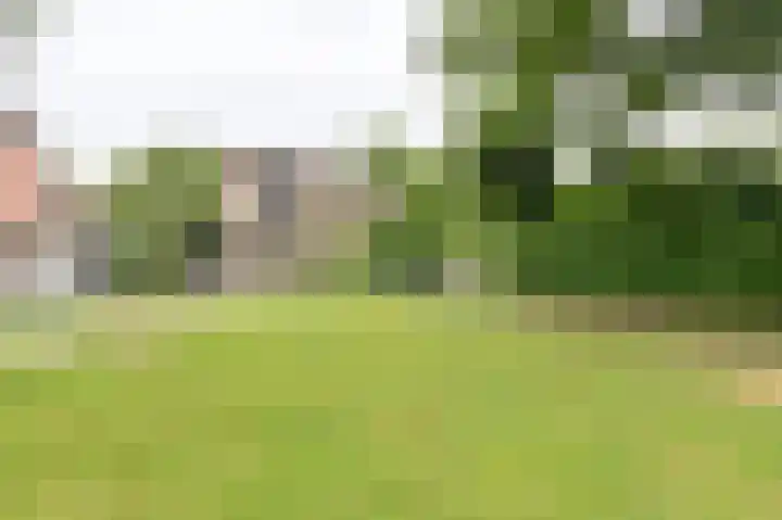 Vogelhof 10 b Ter Apel thumbnail 84