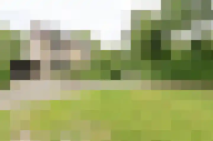 Vogelhof 10 b Ter Apel thumbnail 85