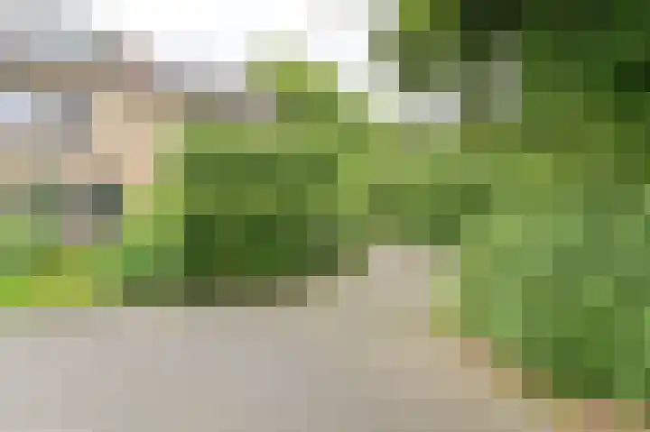 Vogelhof 10 b Ter Apel thumbnail 86
