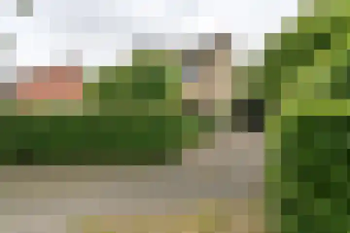 Vogelhof 10 b Ter Apel thumbnail 87