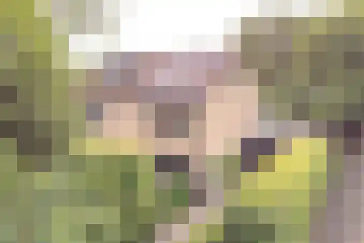 Vogelhof 10 b Ter Apel thumbnail 88