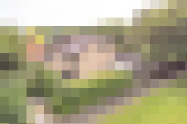Vogelhof 10 b Ter Apel thumbnail 90