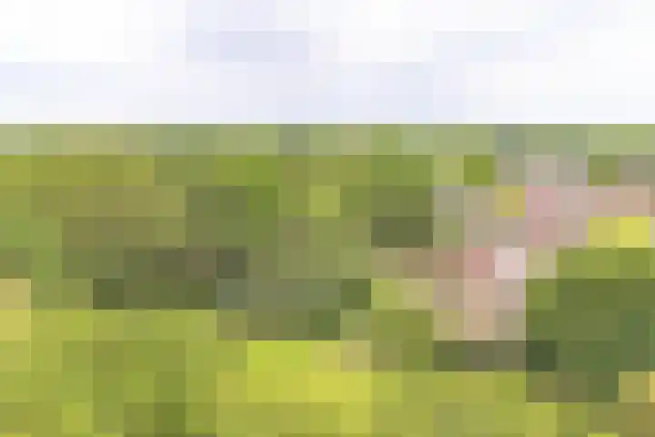 Vogelhof 10 b Ter Apel thumbnail 93