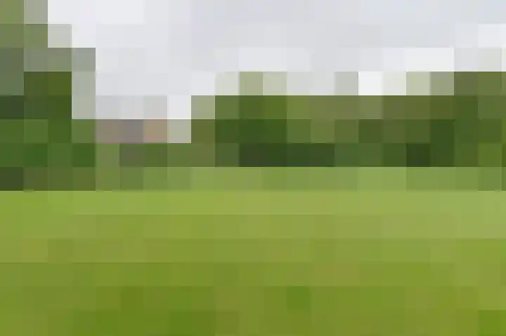 Vogelhof 10 b Ter Apel thumbnail 94
