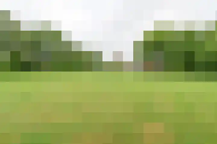 Vogelhof 10 b Ter Apel thumbnail 95