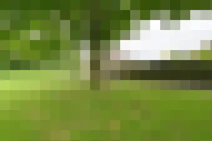 Vogelhof 10 b Ter Apel thumbnail 96