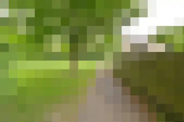 Vogelhof 10 b Ter Apel thumbnail 97