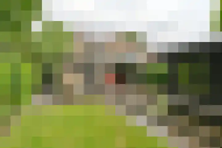 Vogelhof 10 b Ter Apel thumbnail 98