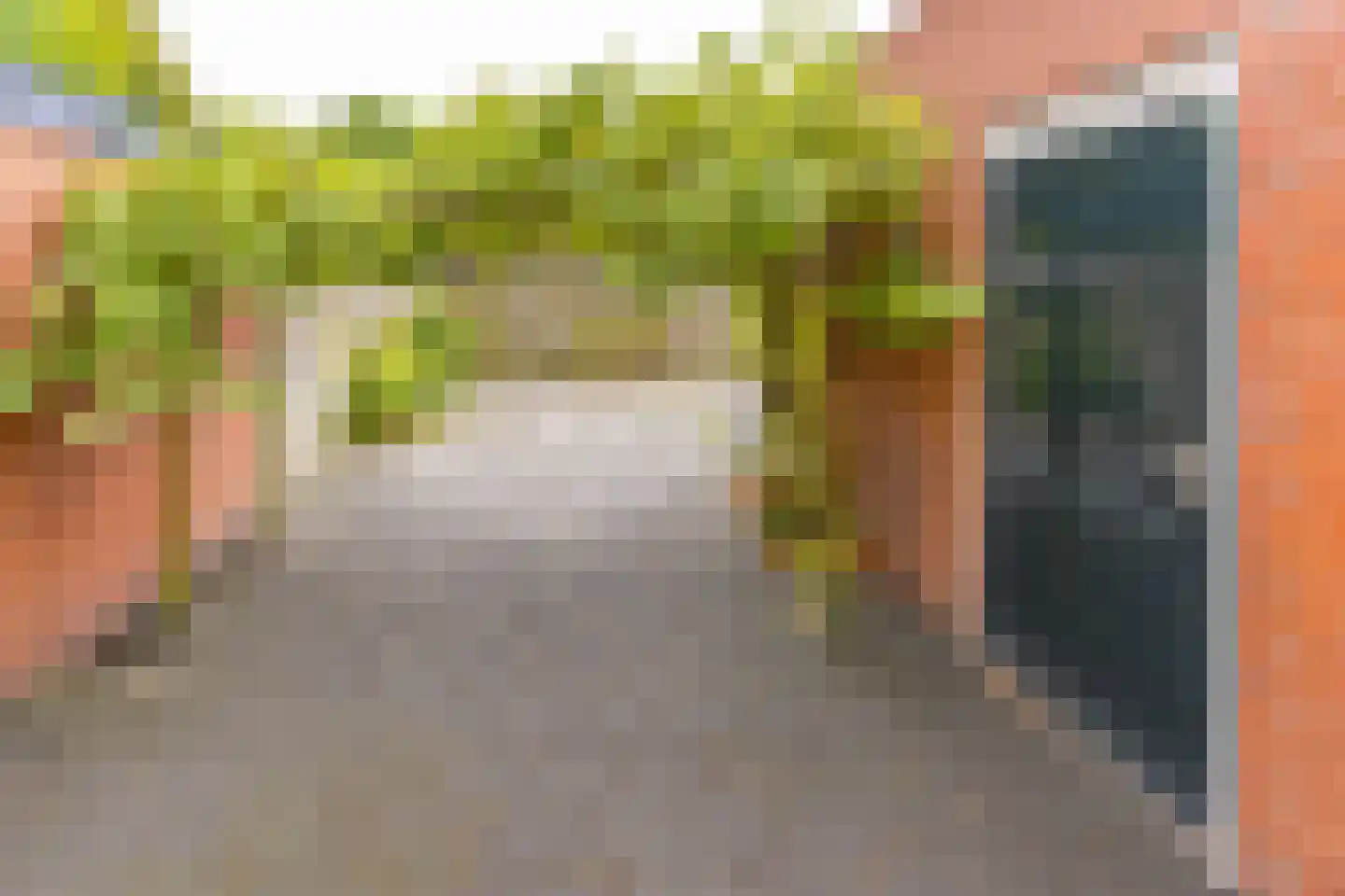 Vogelhof 3 Ter Apel thumbnail 35