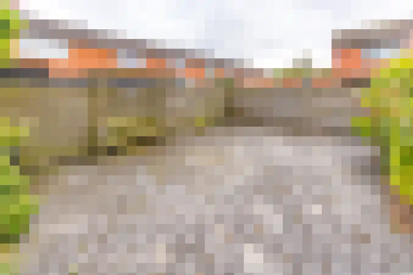 Vogelhof 3 Ter Apel thumbnail 39