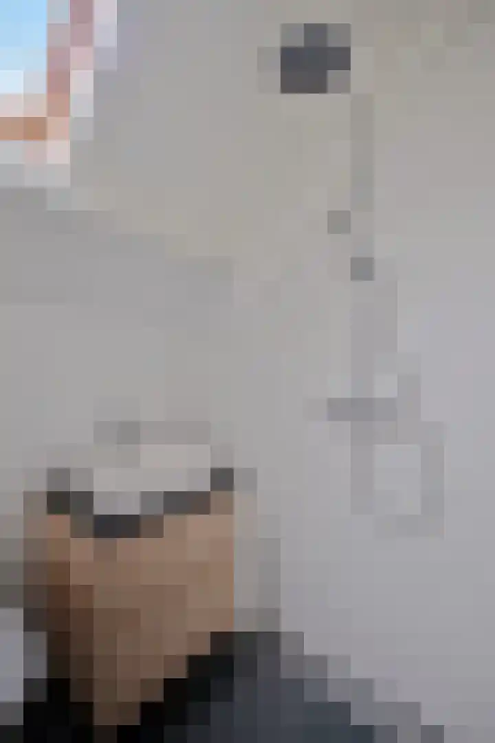 Vogelkade 2 Amsterdam thumbnail 21