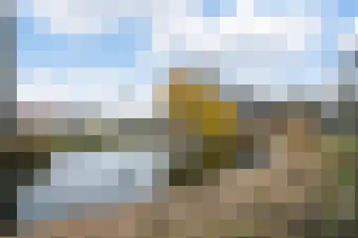 Vogelkade 2 Amsterdam thumbnail 29