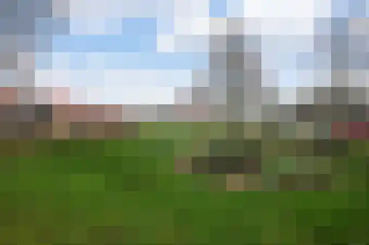 Vogelkade 2 Amsterdam thumbnail 30