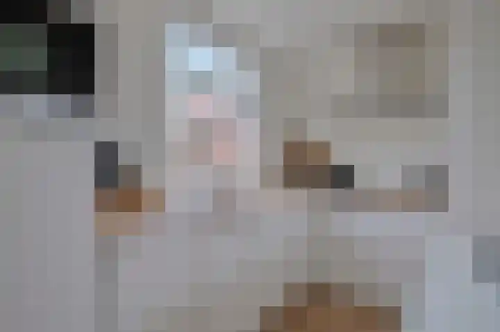 Vogelkade 2 Amsterdam thumbnail 7
