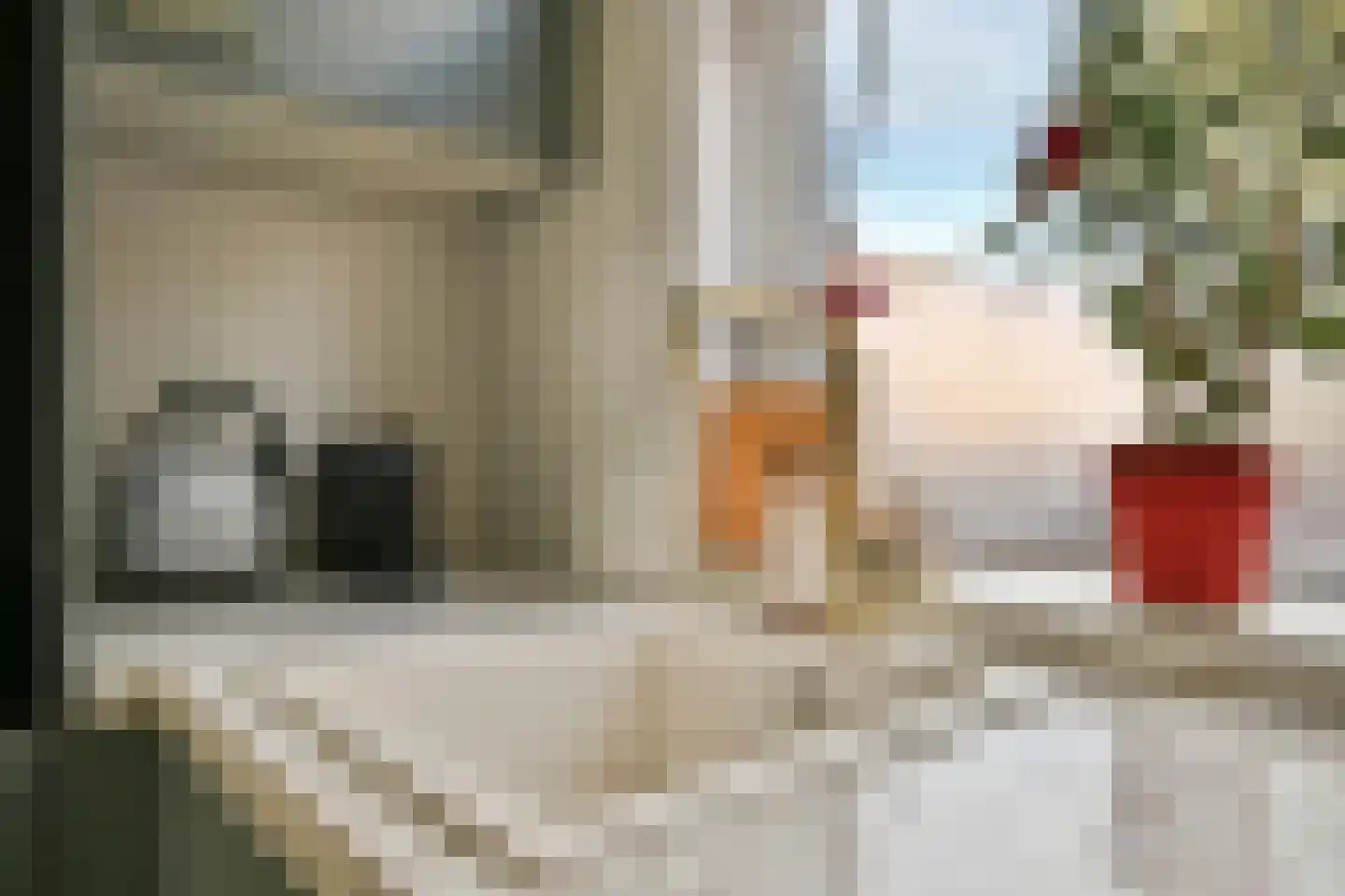 Vogelkade 20 Amsterdam thumbnail 12