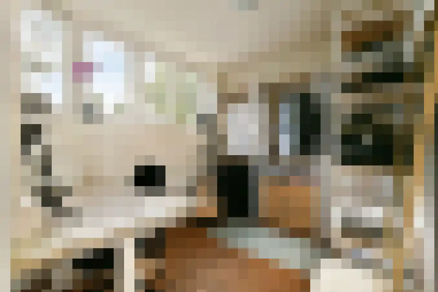 Vogelkade 20 Amsterdam thumbnail 20
