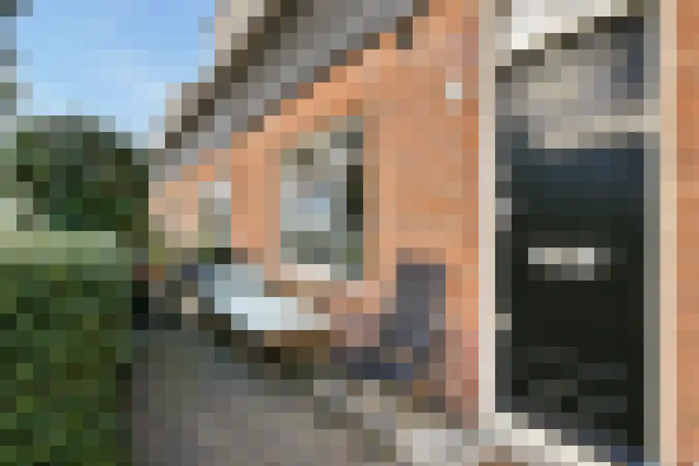 Vogelkade 20 Amsterdam thumbnail 4