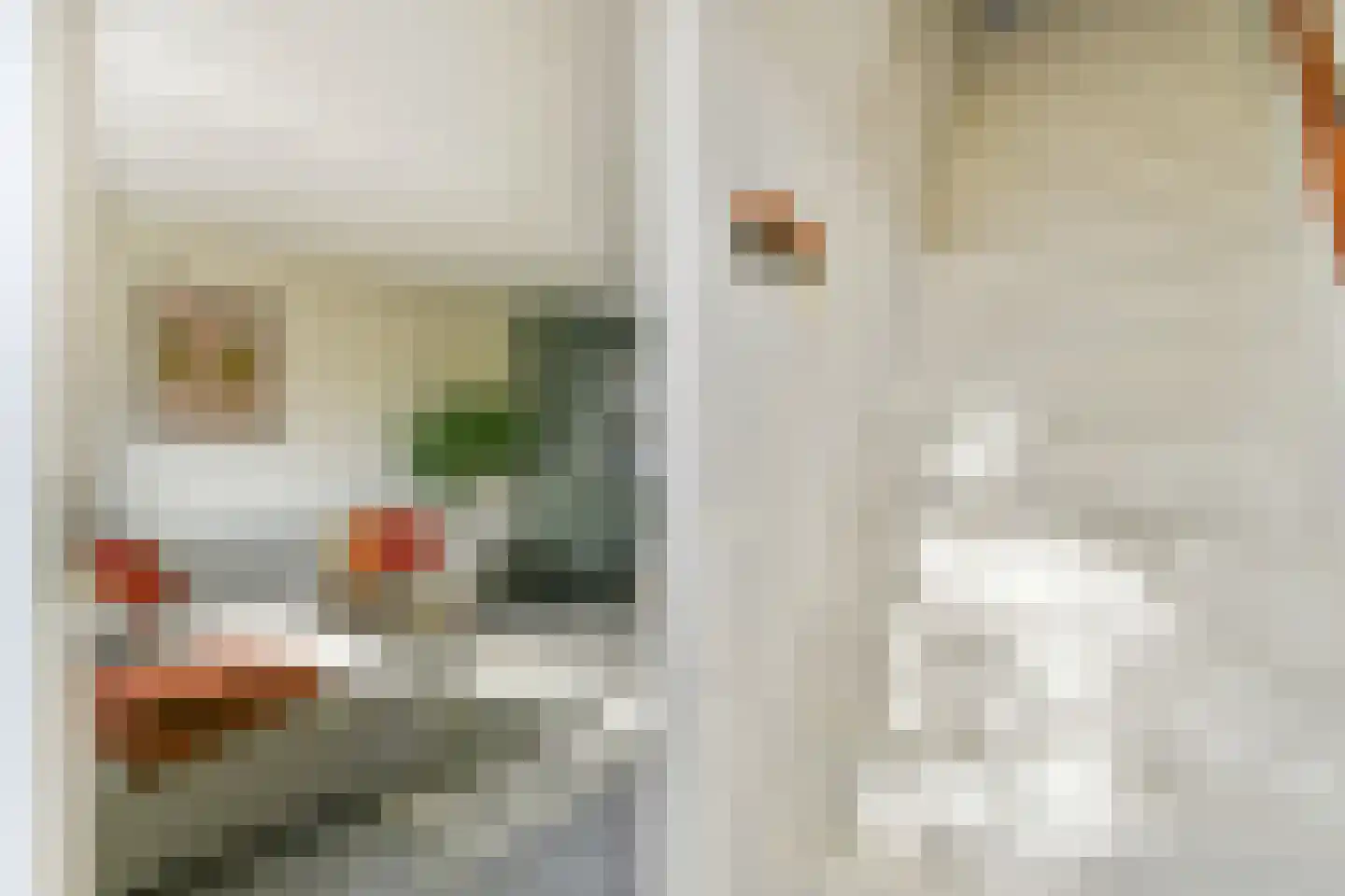 Vogelkade 20 Amsterdam thumbnail 6