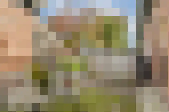 Vogelkade 26 Amsterdam thumbnail 11