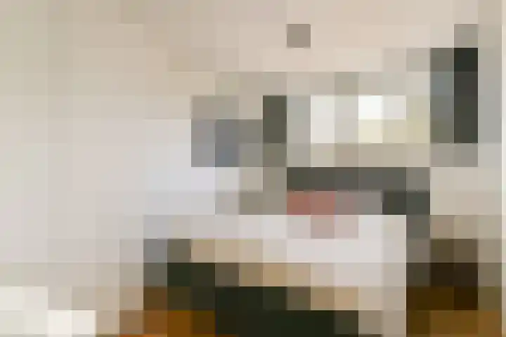 Vogelkade 26 Amsterdam thumbnail 15